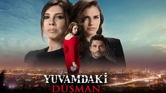 Dusmanul din casa mea