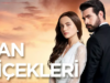 floare insangerata serial turcesc, drama subtitrat romana serialelatimp.net